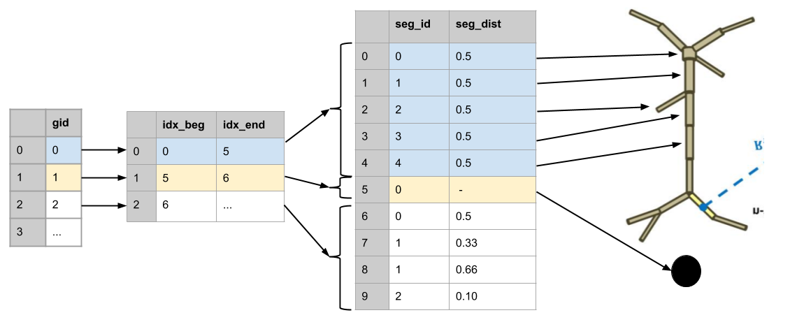 indexing multi and cell compartment cells